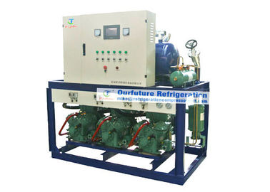 Abkühlungsdruckluftanlage R404a Bitzer für Kühlraum -18℃ Lamms mit PLC-Autokontrollsystem