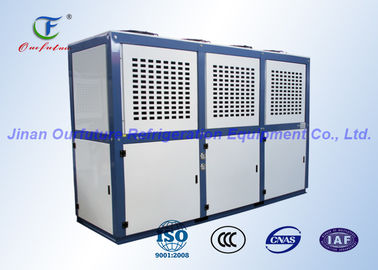 Klimaanlagen-Rollen-kondensierende Einheit Ebmpapst Danfoss für Kühlraum