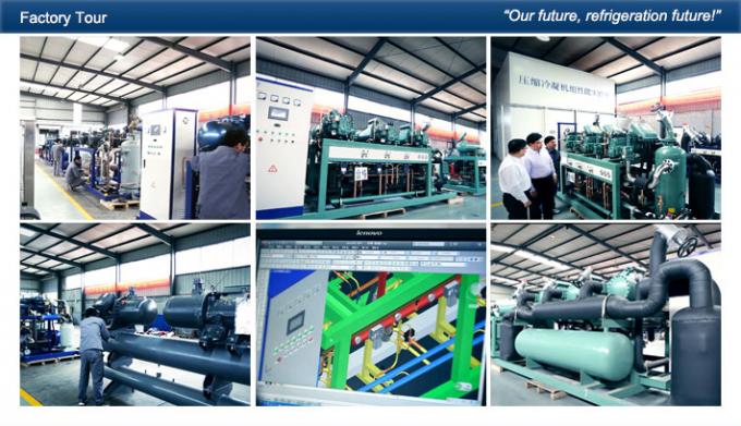 Danfoss-Abkühlungs-Druckluftanlage, kleine Kühlraum-Abkühlungs-kondensierende Einheit